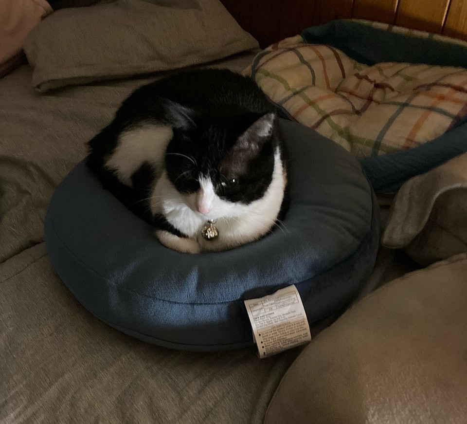 まるねこ　看板娘