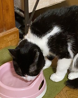 お水、お水